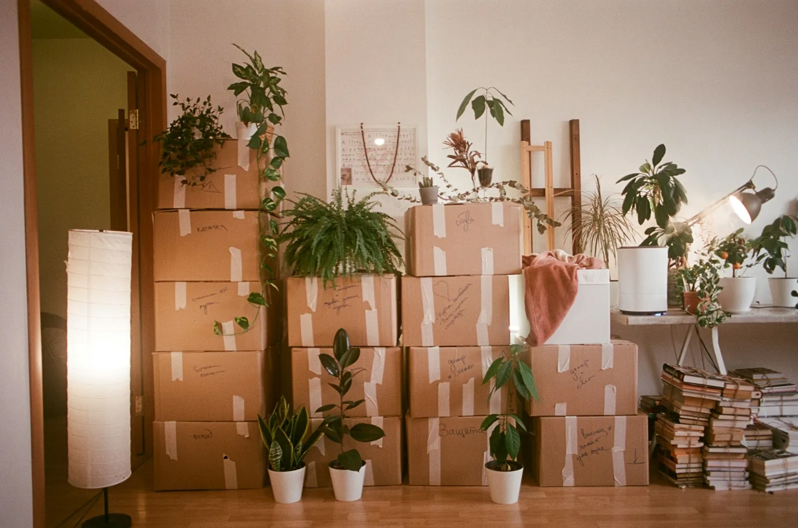 Local movers business